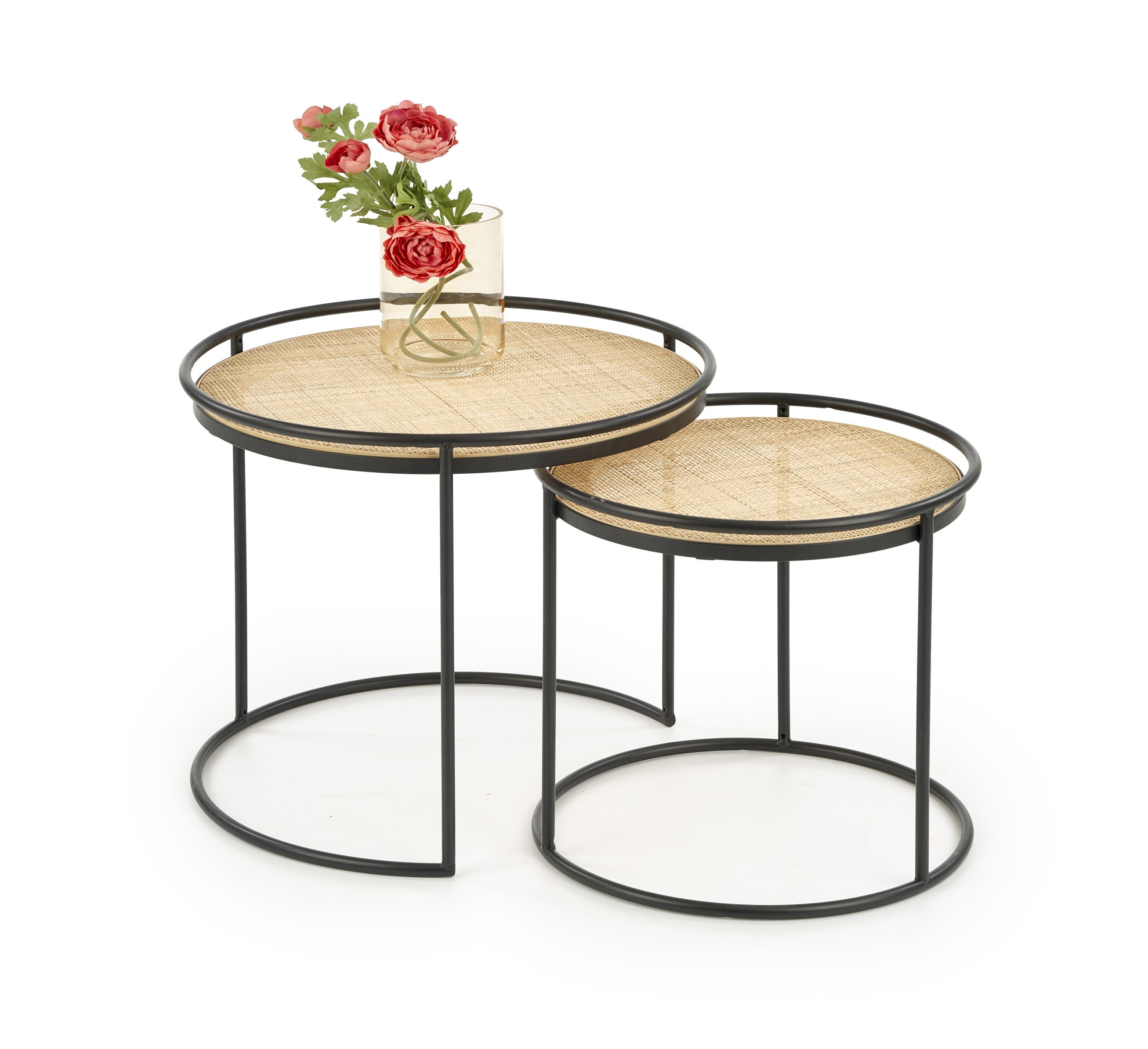 Salontafel duo borneo